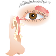 aanvoer en afvoer van traanvocht