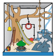 leuke kooi voor kleine huisdieren