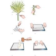 papier maken met de papyrusplant